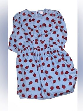 Kling Blue Top with Red Ladybug Print

Spanish boutique